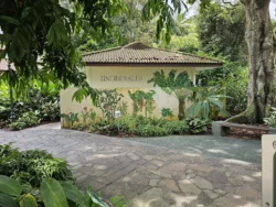 Singapore Botanic Gardens 3451841379