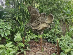 Singapore Botanic Gardens 1124911276