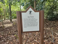 Singapore Botanic Gardens 2829690124
