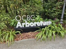 Singapore Botanic Gardens 3946752210
