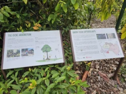 Singapore Botanic Gardens 4034426377