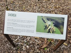 Singapore Botanic Gardens 2250625982