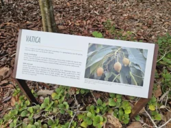 Singapore Botanic Gardens 2640514405