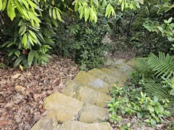 Singapore Botanic Gardens 482557287