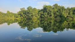 Lower Peirce Reservoir 863174562
