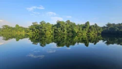 Lower Peirce Reservoir 2794716385
