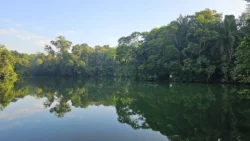 Lower Peirce Reservoir 932729339