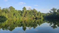 Lower Peirce Reservoir 2344938515