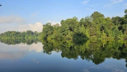 Lower Peirce Reservoir 449790217