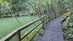 Lower Peirce Reservoir 3694268043