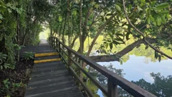 Lower Peirce Reservoir 1238568392