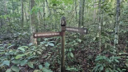 Lower Peirce Reservoir 3507354720
