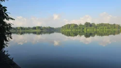 Lower Peirce Reservoir 1013886076