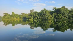 Lower Peirce Reservoir 419065493