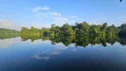 Lower Peirce Reservoir 2036456355