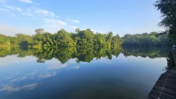 Lower Peirce Reservoir 20126868