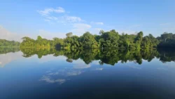 Lower Peirce Reservoir 1642576886