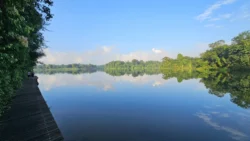 Lower Peirce Reservoir 431324353