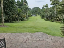 Singapore Botanic Gardens 2851331456