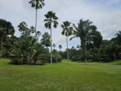 Singapore Botanic Gardens 2283511118
