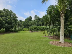Singapore Botanic Gardens 3414086861
