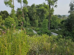 Singapore Botanic Gardens 3649883779