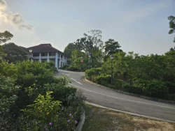 Singapore Botanic Gardens 3385301586