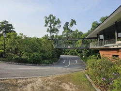 Singapore Botanic Gardens 3149789103