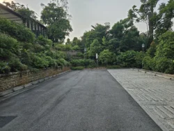 Singapore Botanic Gardens 1579212519