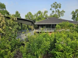 Singapore Botanic Gardens 4167827357