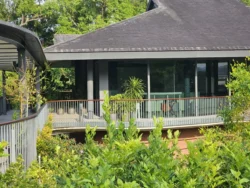 Singapore Botanic Gardens 3914413040