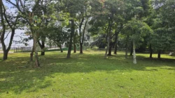 West Coast Park 1114788232