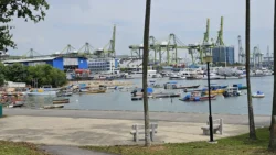 West Coast Park 2072480264