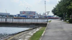 West Coast Park 727068367