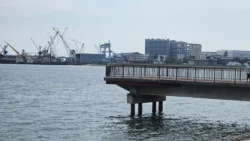 West Coast Park 3970501342