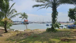 West Coast Park 2676926231