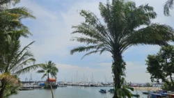West Coast Park 1688787129