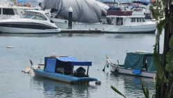 West Coast Park 1506743778