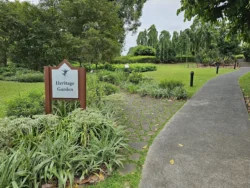 Singapore Botanic Gardens 3024280015