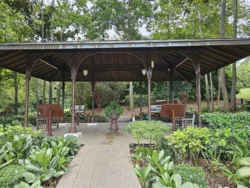 Singapore Botanic Gardens 2779037304