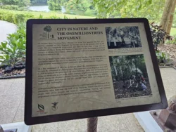 Singapore Botanic Gardens 1423647611