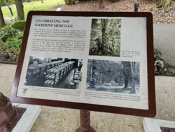 Singapore Botanic Gardens 909162211