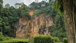 Bukit Batok Nature Park 4137611930