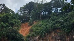 Bukit Batok Nature Park 3676667612