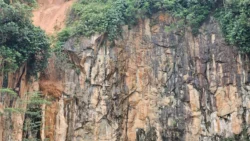 Bukit Batok Nature Park 1483574756