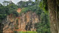 Bukit Batok Nature Park 3618649856