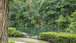 Bukit Batok Nature Park 527754170