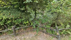 Bukit Batok Nature Park 3484252518