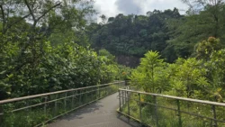 Rifle Range Nature Park 1009881173