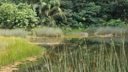 Rifle Range Nature Park 3931967125
